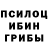 Галлюциногенные грибы мицелий Nurjamal Shurenbaewa