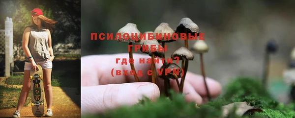 гашик Семёнов